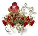 NY Bear - Jaya