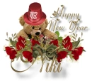 NY Bear - Niki