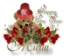NY Bear - Mietta