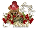 NY Bear - Shakela