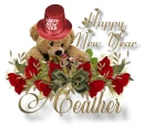 NY Bear - Heather