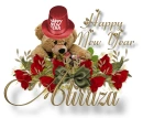NY Bear - Aliraza