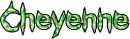 Cheyenne