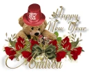 NY Bear - Andrea