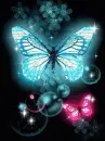 Sparkling Butterfly