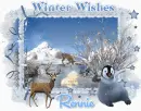 Winter wishes Rennie