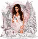 angel wishes