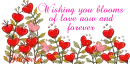 Blooms Of Love ~ Shakela