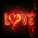 love