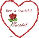 Tuesday