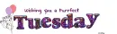 Tuesday