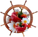 clipart