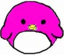 cute bird