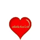 sheila love's it