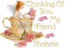 Thinking Of You ~ Shakela