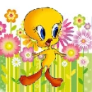 cute tweety