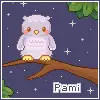 icon_pami