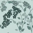 backgrounds