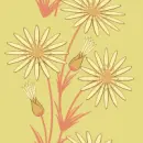 backgrounds