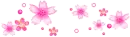 Pink flowers - div