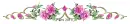 Pink flowers - div