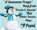 Pami - win