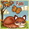 icon_pami