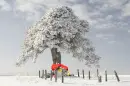 Soup Snow