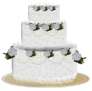 cake_2