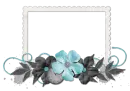 frame