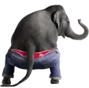 dancing elephant