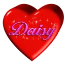 Daisy