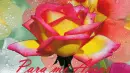 Flores para mi amor