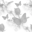 Melancholic Butterflies