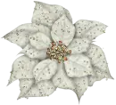 white_flower