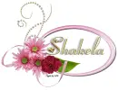 Pink & Diamonds _Shakela