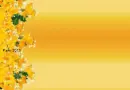 Daffodills - background