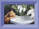 Spring, lilac, cat