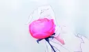 Pluck the Magic Petal from the Fox's Rose