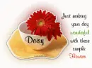 Just making your day wonderful.Daisy