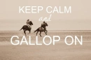 GaLLoP On