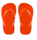 Rainbow Flip Flops