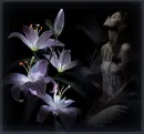 Fantasize