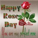 Happy rose day