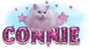 Connie-Cute pink Cat