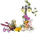 fairy