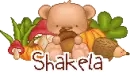 shakela_siggies