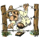 caught in fence