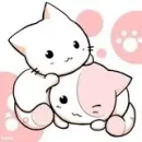 Kitties!