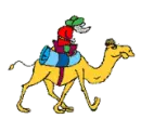 man riding camel